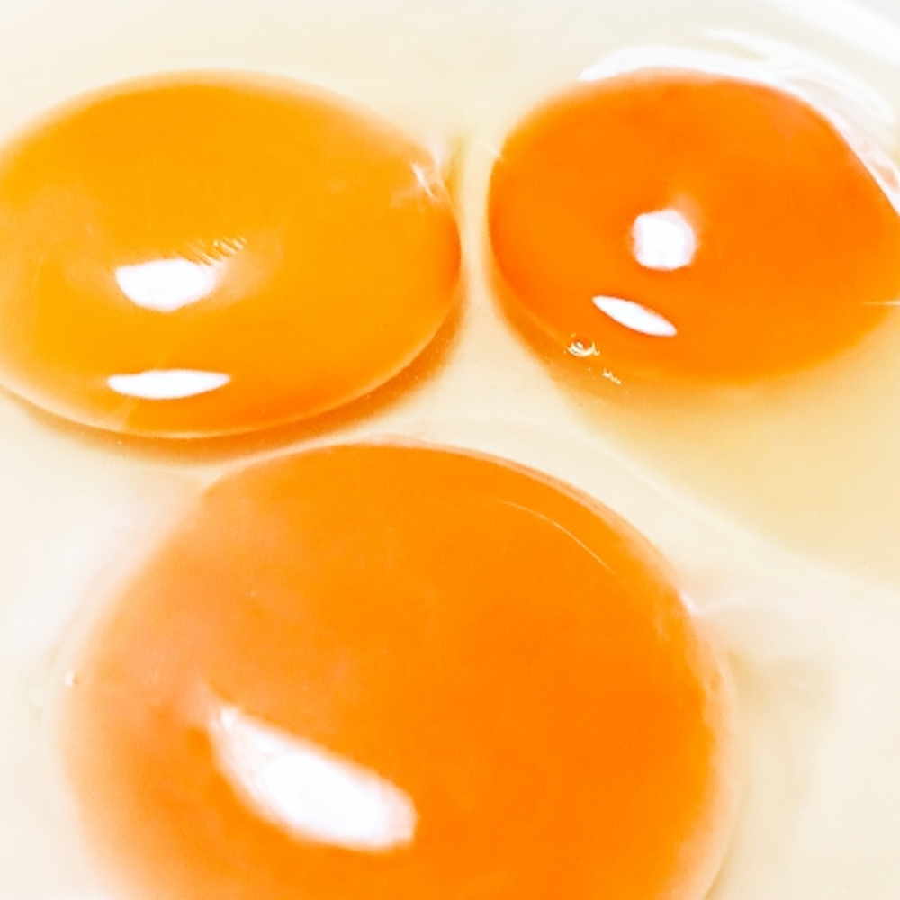 おすすめトッピング